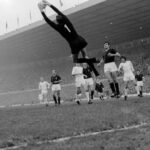 cudicini